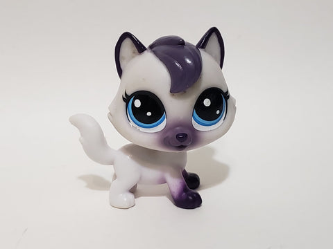 Littlest Pet Shop New Generation Birma Bluepoint 66 Cat Authentic LPS AIK DEC29J