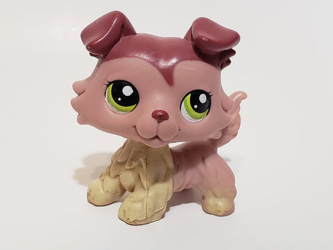 Littlest Pet Shop LPS Collie Dog Puppy 1723 Mauve Plum with Green Eyes Swirl Curl RARE Authentic LPS DEC17J
