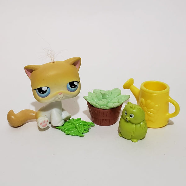 Littlest Pet Shop Cat Real 42 with Random Accessories Set Authentic DEC04J