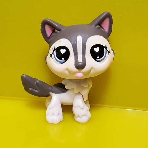 LIKE NEW Littlest Pet Shop G7 Chocolate Brown White Husky 240 Heart Eyes Dog Puppy Authentic Dec8n