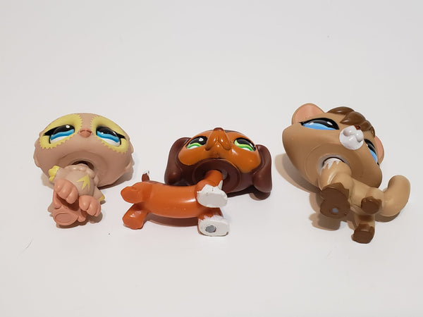 Littlest Pet Shop Pet Trainin' Park Fox 673 Owl 674 Dachshund 675 Set Authentic JUN24J