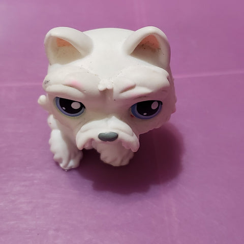 Littlest Pet Shop White Scottie Dog 24 Scottish Terrier LPS Authentic Comes As Shown DEC15J