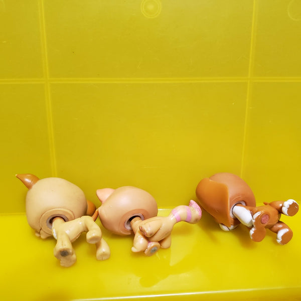Littlest Pet Shop Lot of 3 Blemished Pets Tabby Greyhound Basset Set LPS Authentic Comes As Shown NOV10