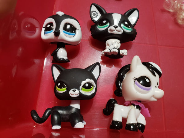 Littlest Pet Shop Blythe Fashion Shoot Black White Collection Shorthair Cat 2249 Authentic JAN06J