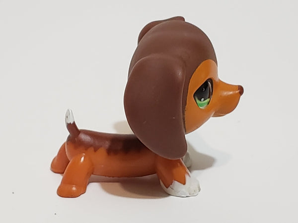 LIKE NEW Littlest Pet Shop Savannah Dachshund Dachsund Savvy  675 HTF LPS Dashund Authentic JAN06J