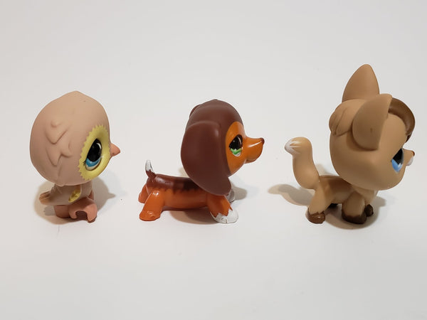 Littlest Pet Shop Pet Trainin' Park Fox 673 Owl 674 Dachshund 675 Set Authentic JUN24J