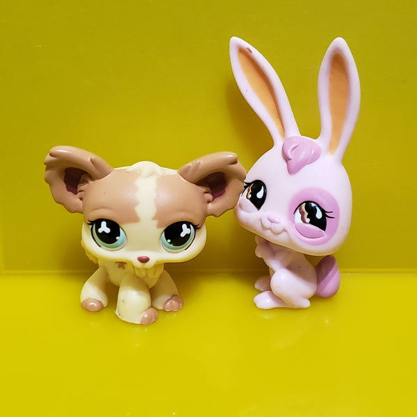 ww Littlest Pet Shop LPS Walmart Exclusive Bunny 764 Chihuahua Dog 765 Alicia Hamilton RARE Authentic LPS NOV08J