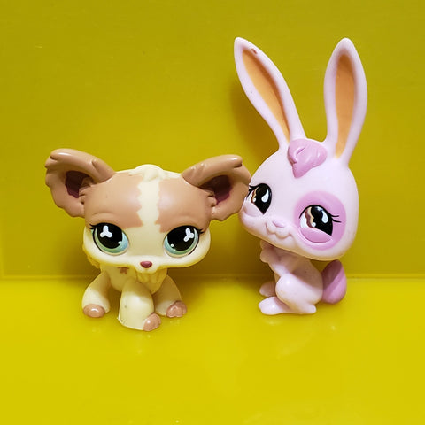 ww Littlest Pet Shop LPS Walmart Exclusive Bunny 764 Chihuahua Dog 765 Alicia Hamilton RARE Authentic LPS NOV08J