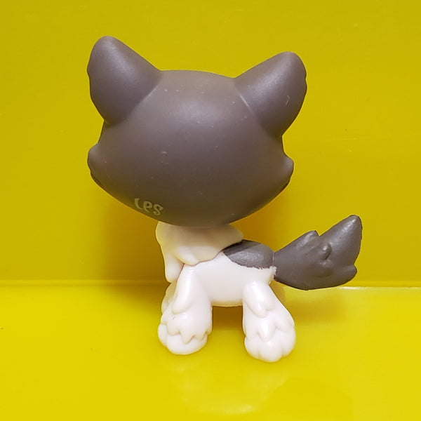 LIKE NEW Littlest Pet Shop G7 Chocolate Brown White Husky 240 Heart Eyes Dog Puppy Authentic Dec8n