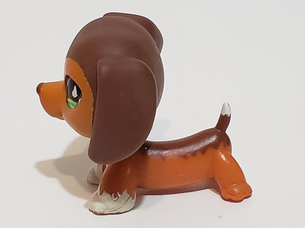 LIKE NEW Littlest Pet Shop Savannah Dachshund Dachsund Savvy  675 HTF LPS Dashund Authentic JAN06J