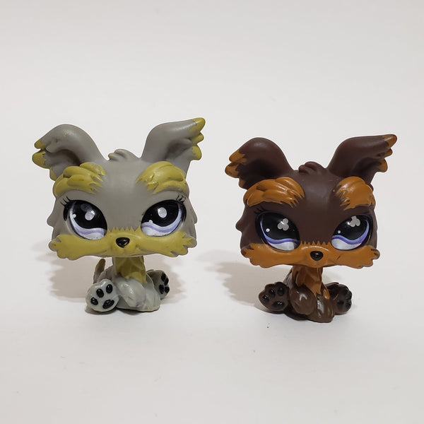 Littlest Pet Shop Lot 2 Yorkie Puppy Dog 883 509 Set Authentic Lps JAN06J