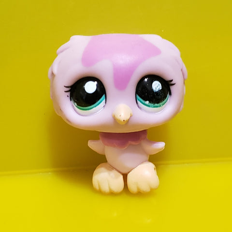 Littlest Pet Shop Rare Pink Owl 1641 Bird Authentic Exclusive  Lps AIK NOV08J