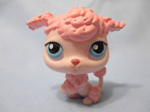 LIKE NEW Littlest Pet Shop Dog Poodle 48 Authentic Lps Dec8n