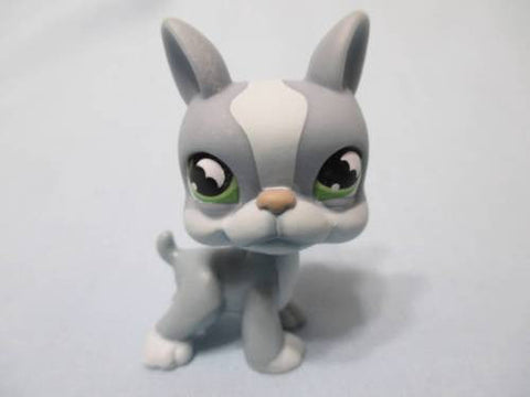LIKE NEW Littlest Pet Shop  Puppy Dog 857 Grey Boston Terrier with Bat Eyes Authentic LPS Nov30npoHG