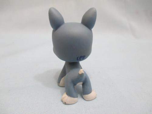 Littlest Pet Shop Dog Puppy Boston Terrier with Pink Eyes 1025 Authentic Lps Mar19ni