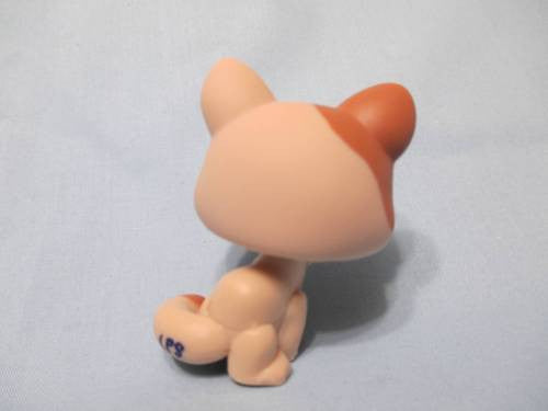 LIKE NEW Littlest Pet Shop Shorthair 1363 Tan Brown Paw Licking Kitty Cat Authentic DEC08J