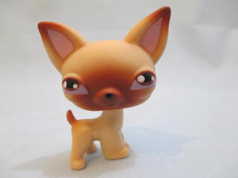 LIKE NEW Littlest Pet Shop Chihuahua 1 Tan Brown With Purple Eyes Puppy Dog Authentic Lps DEC08J