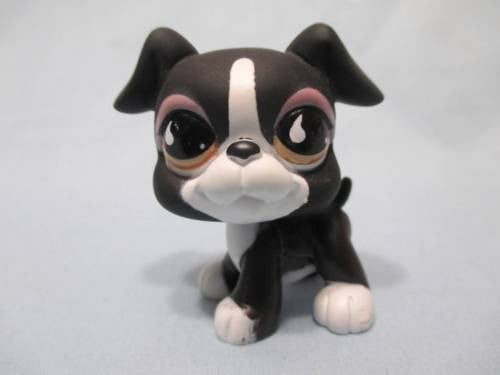 Littlest Pet Shop 826 Black Boxer Puppy Dog Authentic Spin Head Dec23ni