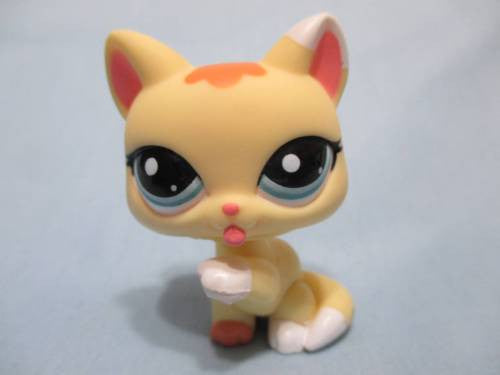 Littlest Pet Shop 1821 Yellow Kitty Cat Licking Paw Authentic AUG15J