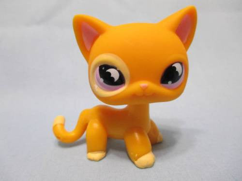 LIKE NEW Littlest Pet Shop Shorthair Siamese Cat Orange 855 Moon Eyes Authentic Lps DEC15J