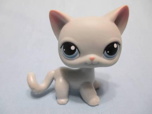 LIKE NEW Littlest Pet Shop Cat Siamese Shorthair 246 US Seller ...