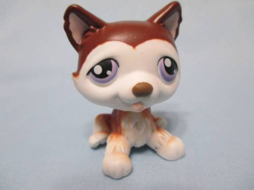 LIKE NEW Littlest Pet Shop LPS BROWN & WHITE HUSKY POLAR DOG  427 Authentic Lps Nov28ni
