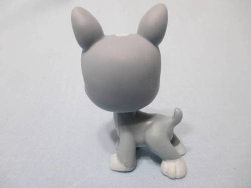 Littlest Pet Shop Puppy Dog 857 Grey Boston Terrier with Bat Eyes Authentic LPS Minor Wear Dec10n