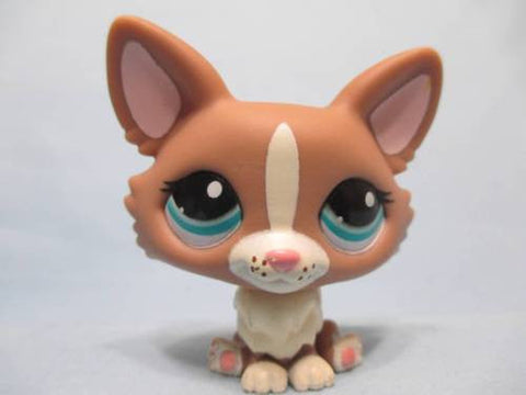 LIKE NEW Littlest Pet Shop  Dog Corgi Brown Tan and Cream Welsh 1864 Authentic Lps FEB10J