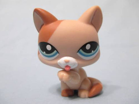 Littlest Pet Shop Shorthair 1363 Tan Brown Licking Paw  Kitty Cat Authentic LPS DEC17J