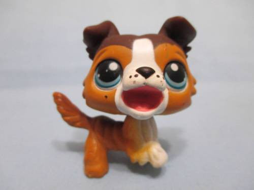 Littlest Pet Shop Border Collie Dog Puppy 237 Open Mouth Brown Tan White LPS Authentic Main 5 JAN01J (