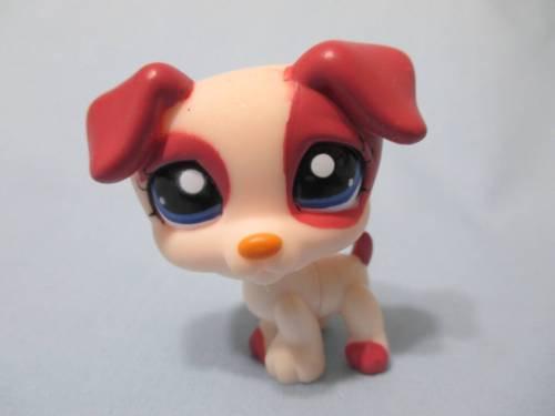 LIKE NEW Littlest Pet Shop Dog Puppy Jack Russell Terrier 1200 Authentic Lps Dec05ni