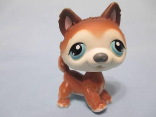 LIKE NEW Littlest Pet Shop 68 Brown White Husky Blue Eyes Puppy Dog Authentic Lps  Nov20n