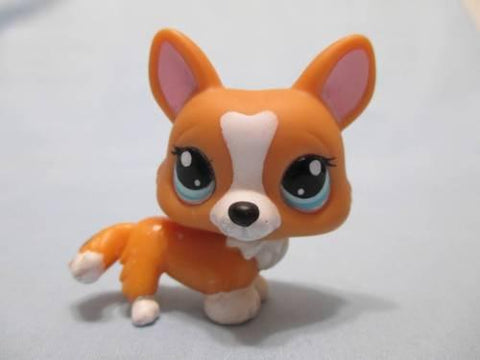 LIKE NEW Littlest Pet Shop Tan White CORGI 1360 Blue Eyes Welsh Orange Dog Authentic Lps Nov30npoHG
