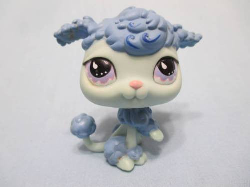 Littlest Pet Shop Blue Poodle Purple Eyes 591 Dog Puppy Authentic Has Initial Dec22ni