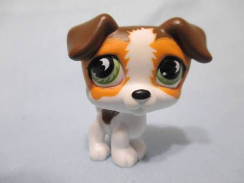 Littlest Pet Shop 804 Jack Russell with Green Bat Eyes Puppy Dog ...