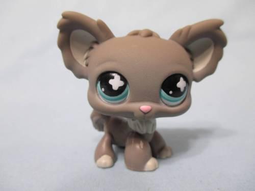 Littlest Pet Shop 836 GRAY LONG HAIR CHIHUAHUA PUPPY DOG Authentic Dec12ni