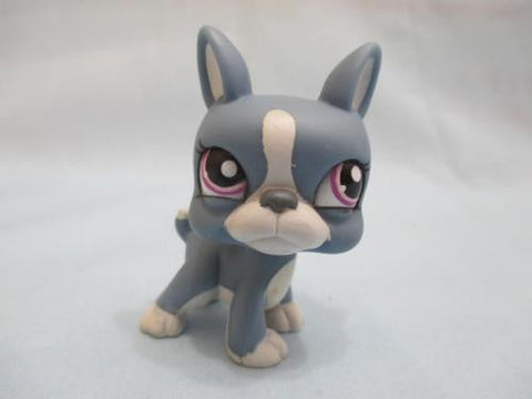 Littlest Pet Shop Dog Puppy Boston Terrier with Pink Eyes 1025 Authentic Lps Mar19ni