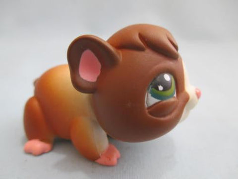 LIKE NEW Littlest Pet Shop Dark Brown Guinea 4 Pig Pink Feet & Green Eyes Authentic Feb18ni