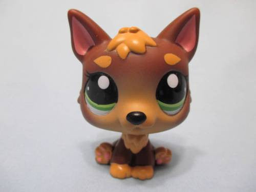 LIKE NEW Littlest Pet Shop Dog Puppy Wolf German Shepherd 2137 Authentic Lps  Nov28ni