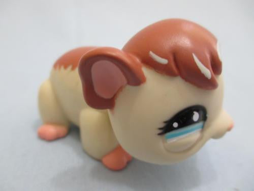 Littlest Pet Shop 683 Cream Brown Hamster Guinea Pig w/ Blue Teardrop Eyes LPS Authentic Feb12nn