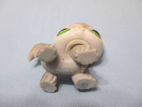 Littlest Pet Shop Gray Cat Kitten Angora 20 Authentic Lps Feb5ni