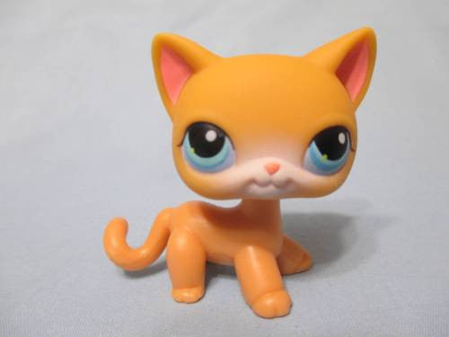 LIKE NEW Littlest Pet Shop Cat Siamese Shorthair 71 Authentic Lps US Seller Lps Authentic SEE VIDEO Dec05ni