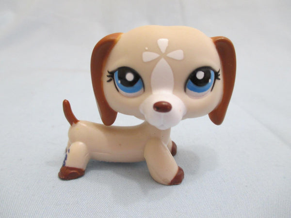 Littlest Pet Shop Dog Dachshund Puppy Rare Tan Cream Flower 1491 Authentic Lps Dec10n