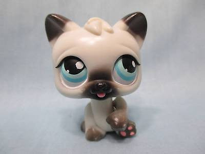 LIKE NEW Littlest Pet Shop Magic Motion Persian Cat Authentic Lps Nov25n