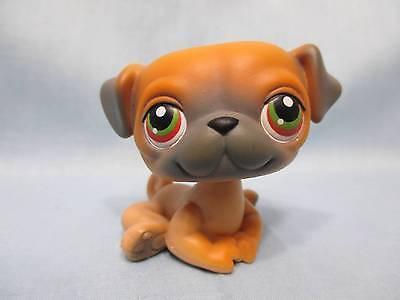 LIKE NEW Littlest Pet Shop Dog Pug Puppy Brown Caramel with Green and Red Eyes Number 2 Authentic Lps Feb2ni
