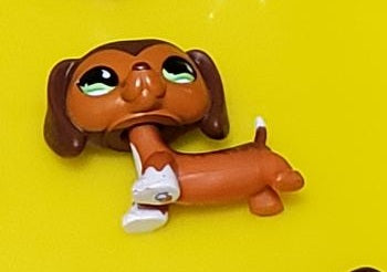 LIKE NEW Littlest Pet Shop Savannah Dachshund Dachsund Savvy  675 HTF LPS Dashund Authentic JAN06J