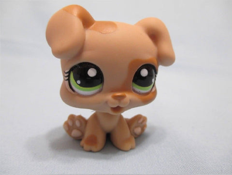 LIKE NEW Littlest Pet Shop Dog Puppy Baby Boxer Tan 1353 Authentic LPS DEC08J