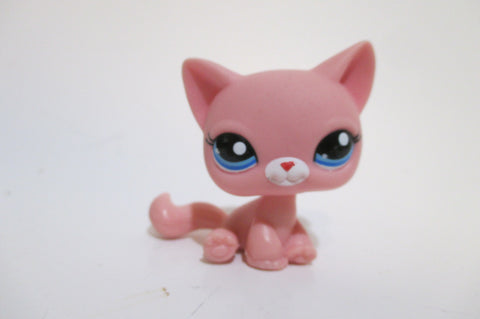 Littlest Pet Shop Extremely Rare Pink Shorthair Short Hair Cat Blind Bags Pink Blue Eyes Sitting 2593 Authentic Lps Main 5 AIK DEC17J