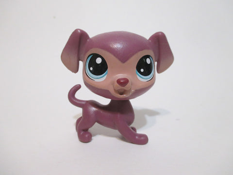 LIKE NEW Littlest Pet Shop Bouncer Eagerton 220 Labrador Puppy Dog Pets in the City Authentic LPS AUG23K