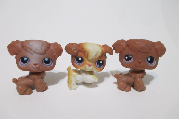 Littlest Pet Shop 37 38 39 Petriplet Triplet Poodles Dog LPS Authentic Feb12nn